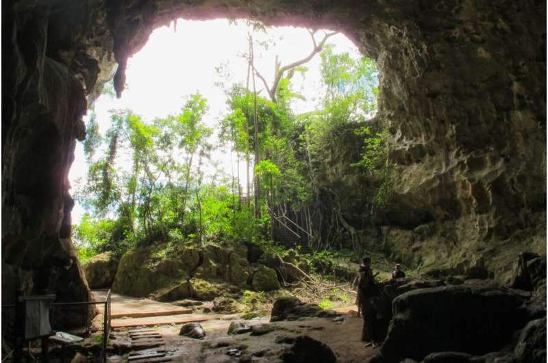 Fossils of "giant cloud rats" discovered in Philippine caves