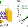 Polarized photovoltaic properties emerge