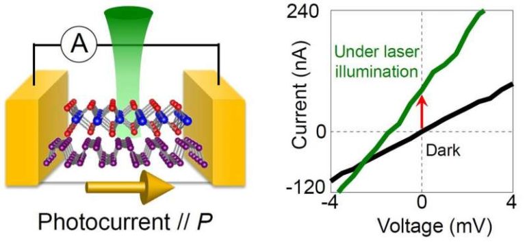 Polarized photovoltaic properties emerge