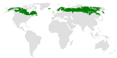 Map showing boreal forest regions