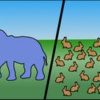 A drawing of one elephant on the left next to dozens of rabbits on the right.