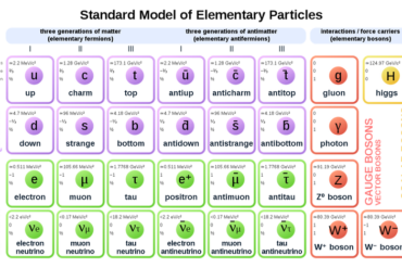 All of the particles and forces of the Standard Model of physics.