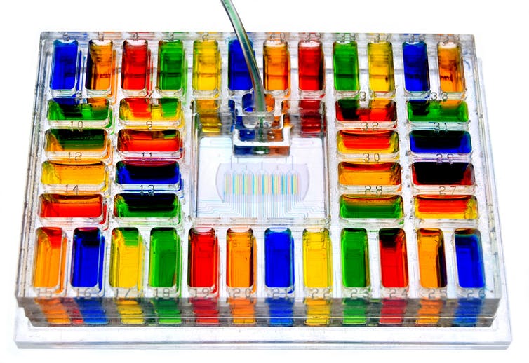 A device covered in wells of multicolored liquids.