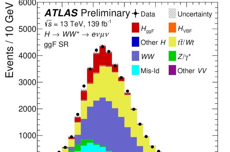 Deeper insight into Higgs boson production using W bosons