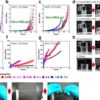 A universal method to easily design tough and stretchable hydrogels