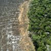 Tropical deforestation has occurred for the production of beef, sugar cane and soybean in the Brazilian Amazon, oil palm in Sout