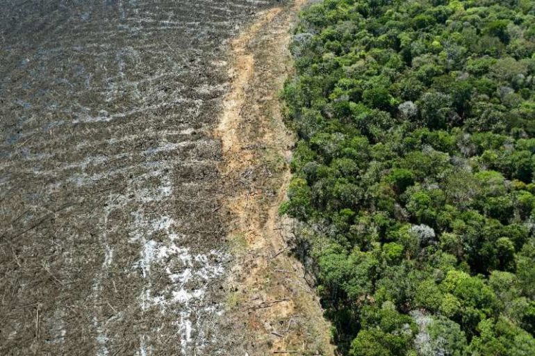Tropical deforestation has occurred for the production of beef, sugar cane and soybean in the Brazilian Amazon, oil palm in Sout