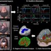 New testing for bike helmets accounts for head injuries sustained at speed