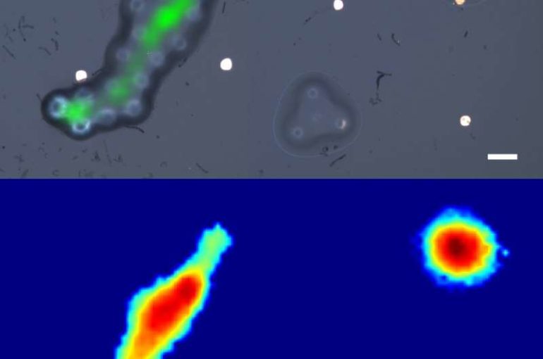 World’s first fibre-optic ultrasonic imaging probe for future nanoscale disease diagnostics