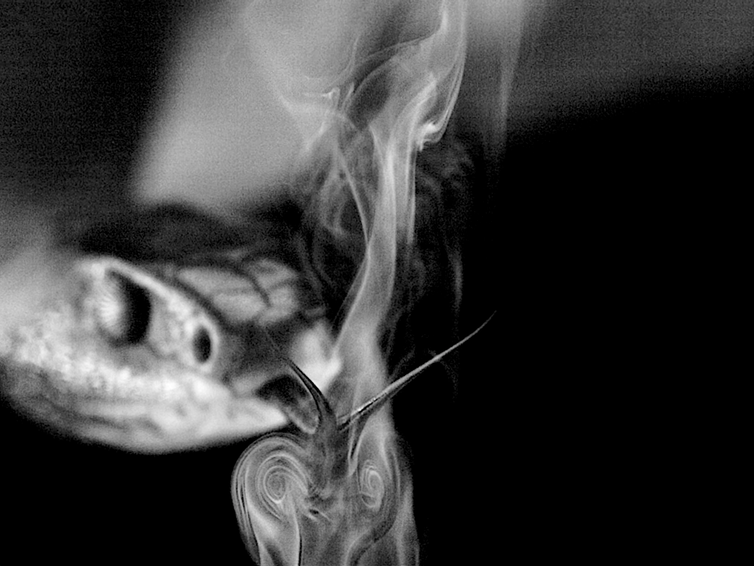 A snake flicking its toungue through a veil of smoke creating two swirls.