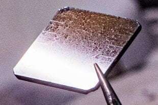 Solar energy collectors grown from seeds