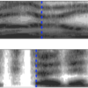 Two spectrograms with the one for Danish a nearly continuous bar and the one for Norwegian shows sharp breaks.
