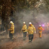 nsw-rfs-fire-gettyimages-1197558592.jpg