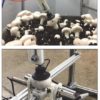 Researchers develop prototype of robotic device to pick, trim button mushrooms