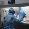 seated researcher in PPE seen from behind in lab