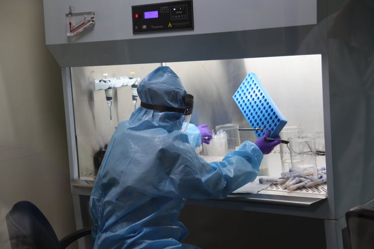 seated researcher in PPE seen from behind in lab