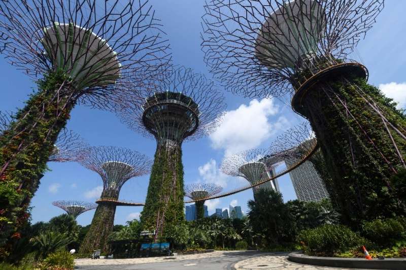 Singapore's Gardens by the Bay has giant plant-covered &quot;trees&quot; and massive greenhouses with rare plant species