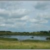 Study: constructed wetlands are best protection for agricultural runoff into waterways