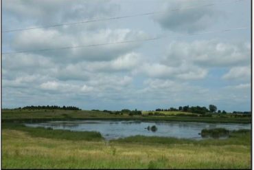 Study: constructed wetlands are best protection for agricultural runoff into waterways