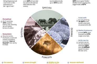 Highlights of a landmark Intergovernmental Panel on Climate Change (IPCC) draft report on the effects of a warming planet on nat