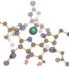 How ethane-consuming archaea pick up their favorite dish