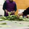 counting votes australia