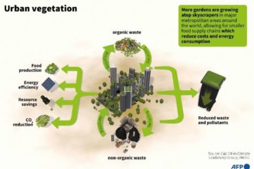 Cities growing green