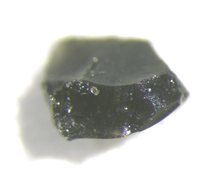 A small, dark green rock viewed under a microscope.