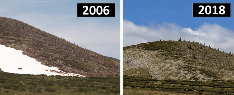 reindeer on a patch of white ice in 2006, contrasted with the same hillside with no ice at all in 2018