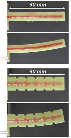 Image showing how 3D printed continuous and segmented fin rays bend.