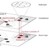 A theoretical approach for designing a self-organizing human-swarm system