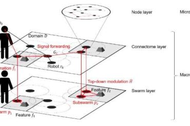 A theoretical approach for designing a self-organizing human-swarm system