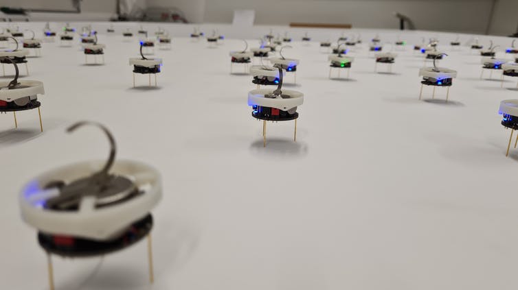 Several dozen small plastic discs containing electronics and perched on metal wire legs  are spread across a smooth featureless surface