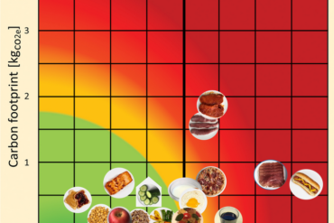 Relative positions of select foods on a carbon footprint versus nutritional health map