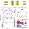 Researchers demonstrate the bandgap engineering of 2D C3N bilayers