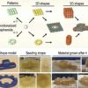 Self-healing 'living materials' used as 3D building blocks