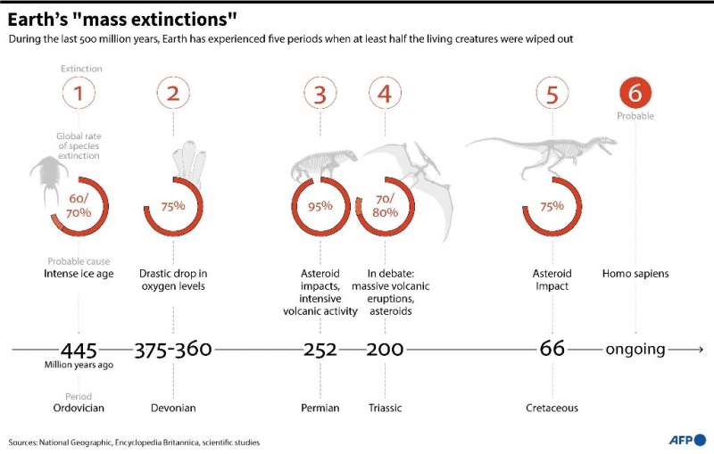 The Earth's mass extinctions