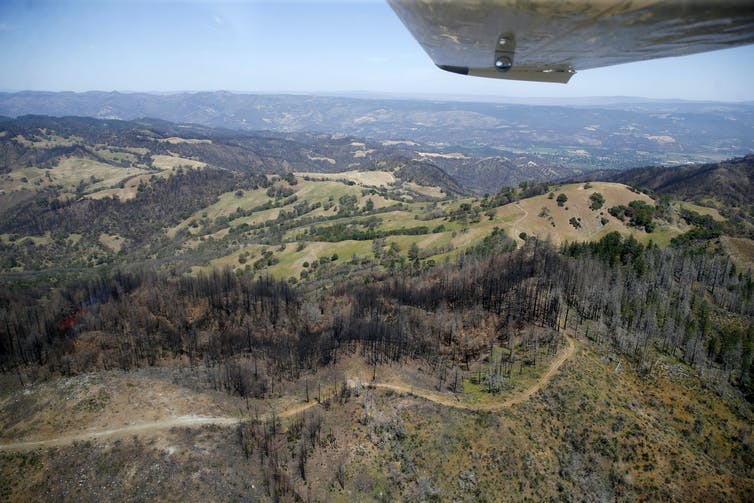 A view from an airplane of hillsides, some dark from burning, other still green, with roads winding through them.