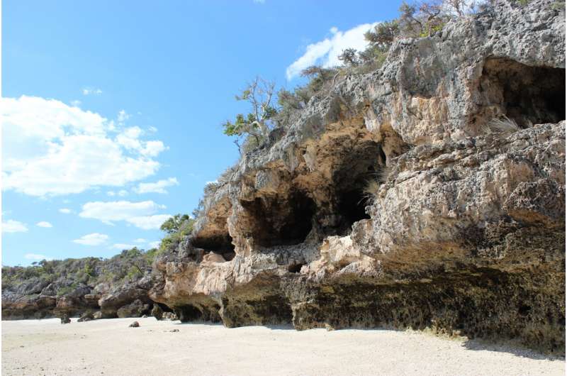 Small-scale foragers left more than footprints on the landscape