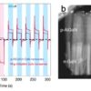 A strategy to manipulate photocurrent direction in p-n heterojunction nanowires