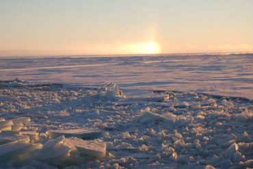 Arctic Ocean's 'last ice area' may not survive the century