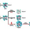 Metalâorganic frameworks with covalently bound metal Nâheterocyclic carbenes for catalysis