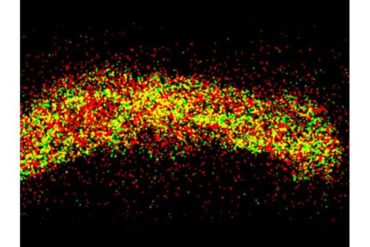 Silicon anodes muscle in on battery technology