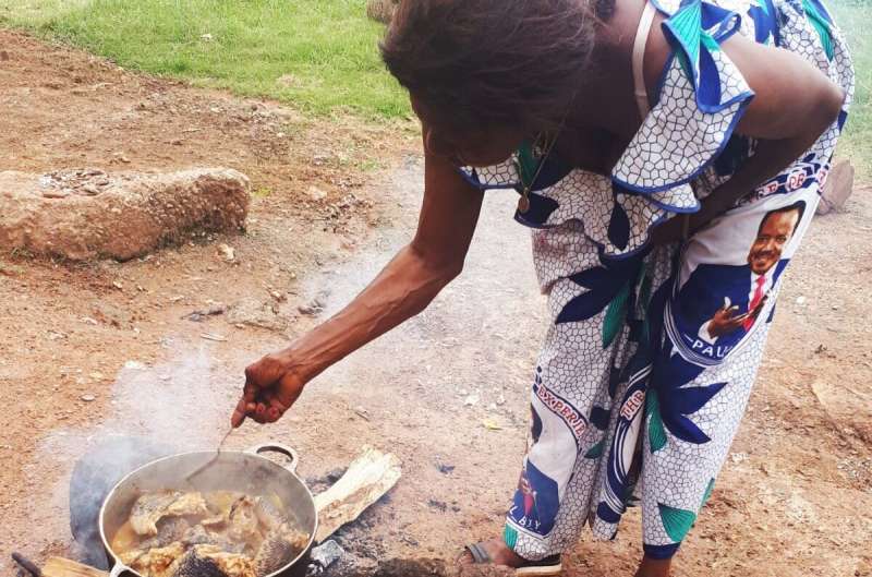 New research could help boost growth of clean cooking in sub-Saharan Africa