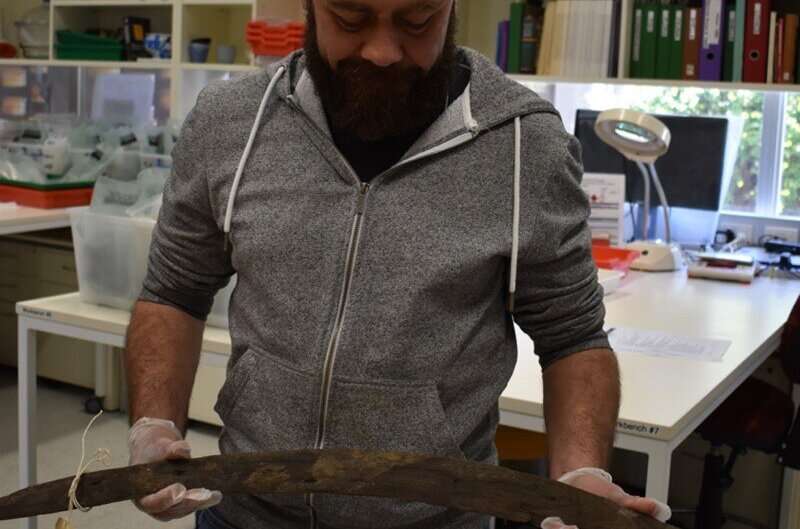 Rare boomerang collection from South Australia reveals a diverse past