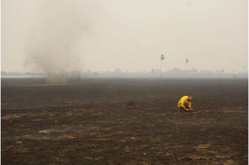 Almost 17 million vertebrates killed in the 2020 wildfires in Brazil: study
