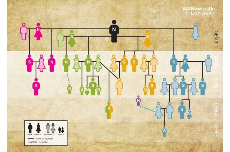 Ancient DNA reveals the world's oldest family tree