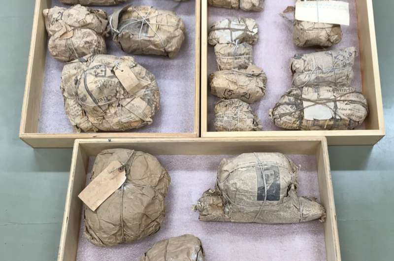 Fossils dug up 100 years ago rediscovered wrapped in old newspaper