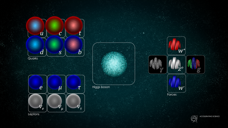 A chart showing the particles of the Standard Model.