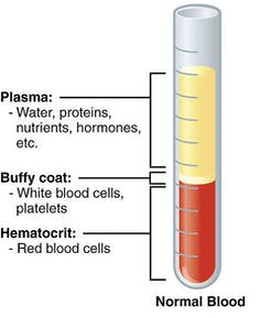 Diagram showing normal blood composition
